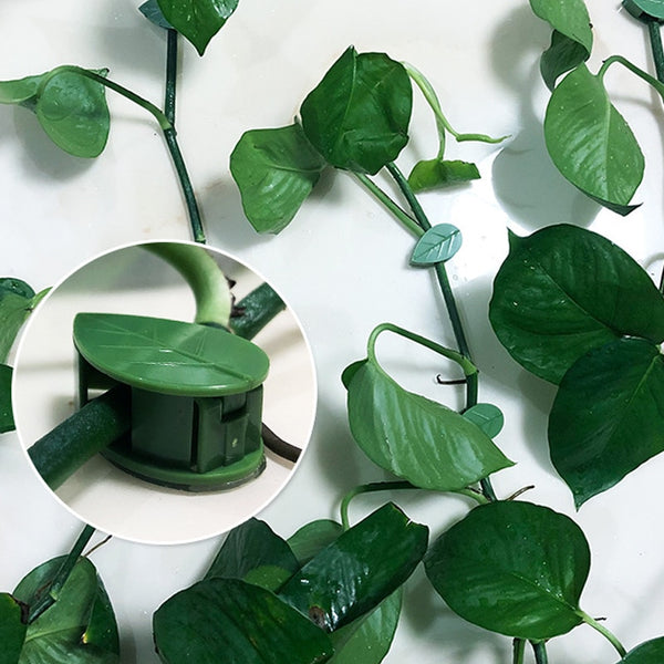 תופסן עלים - 10 יחידות