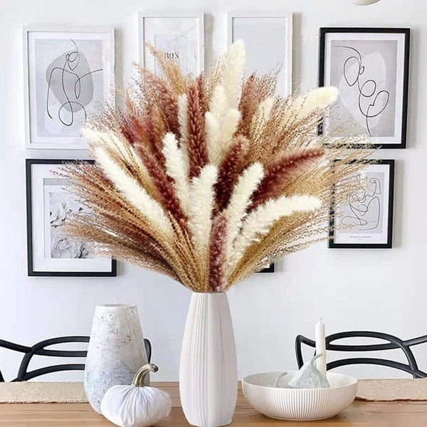 צמחים יבשים