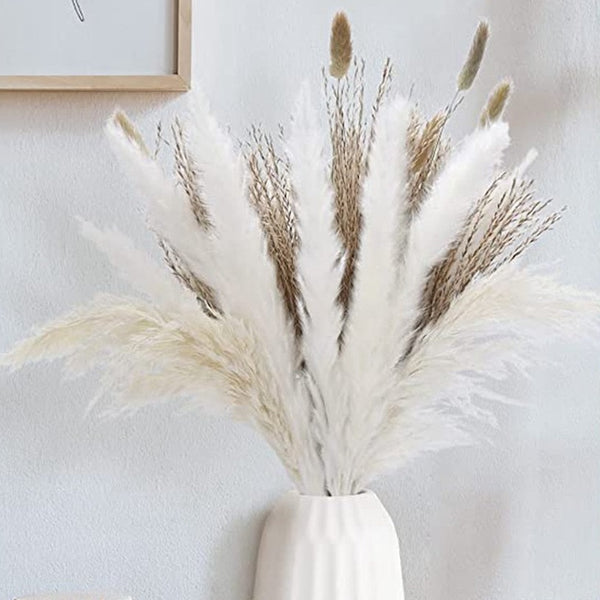 צמחים יבשים